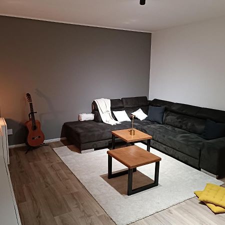 Stylish 1-Bedroom Flat With Beautiful Terrace , For A Cosy Retreat Strasbourg Ngoại thất bức ảnh