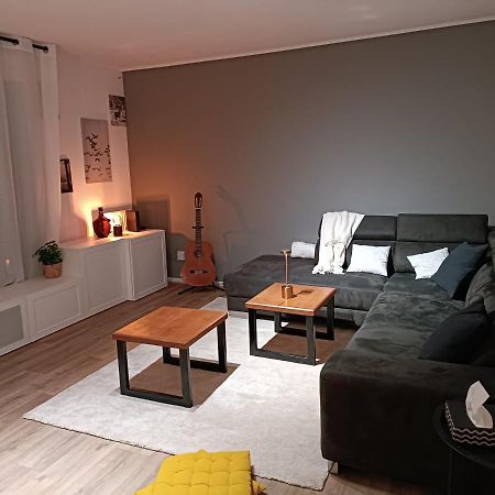 Stylish 1-Bedroom Flat With Beautiful Terrace , For A Cosy Retreat Strasbourg Ngoại thất bức ảnh