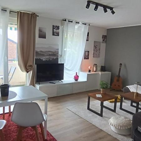 Stylish 1-Bedroom Flat With Beautiful Terrace , For A Cosy Retreat Strasbourg Ngoại thất bức ảnh