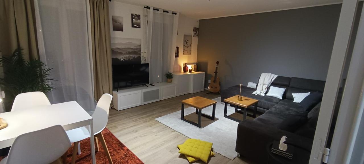 Stylish 1-Bedroom Flat With Beautiful Terrace , For A Cosy Retreat Strasbourg Ngoại thất bức ảnh