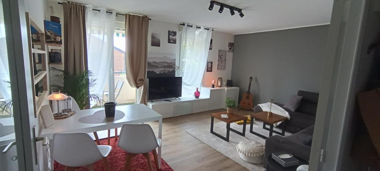 Stylish 1-Bedroom Flat With Beautiful Terrace , For A Cosy Retreat Strasbourg Ngoại thất bức ảnh