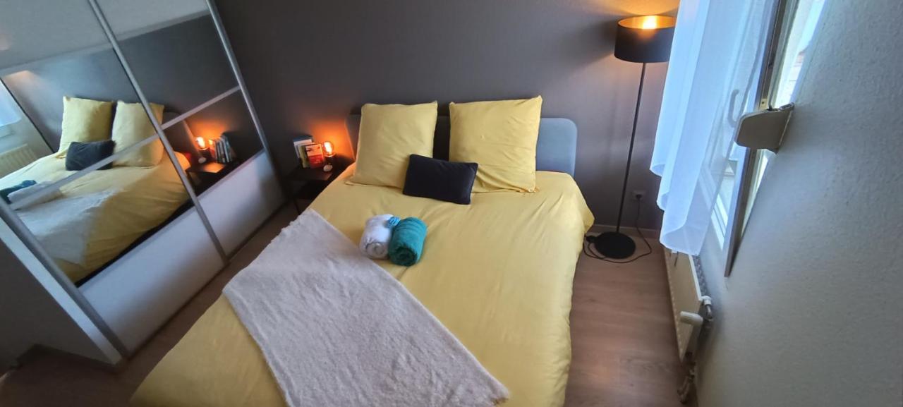 Stylish 1-Bedroom Flat With Beautiful Terrace , For A Cosy Retreat Strasbourg Ngoại thất bức ảnh