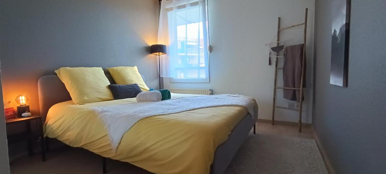 Stylish 1-Bedroom Flat With Beautiful Terrace , For A Cosy Retreat Strasbourg Ngoại thất bức ảnh